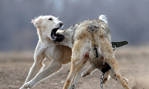 點(diǎn)擊瀏覽下一頁