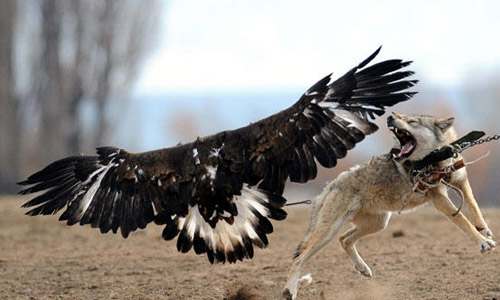 點(diǎn)擊瀏覽下一頁