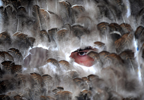 點(diǎn)擊瀏覽下一頁(yè)