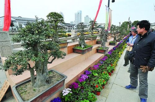 點(diǎn)擊瀏覽下一頁