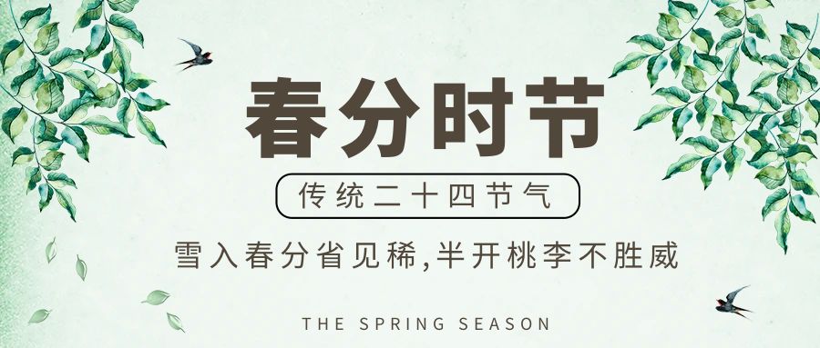 春分時節，播種希望：一場與自然共舞的盛大活動